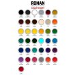 Photo3: 【30%OFF】Rubine Red 0165 - Ronan One Stroke Paints 237ml(1/2 Pint/8 fl oz) (3)