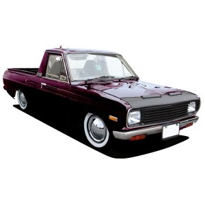 Photo: MOONEYES Hood Guard Bra NISSAN
