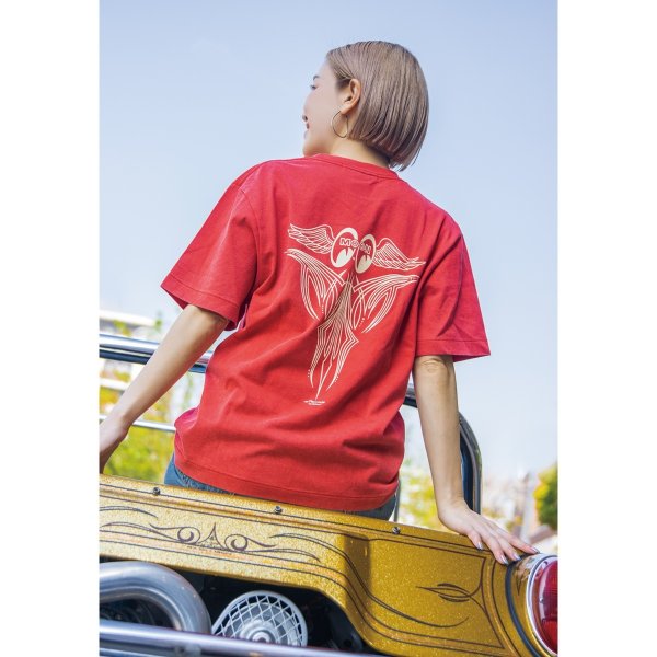 Photo1: Pinstripe Fly with MOON T-shirt (1)