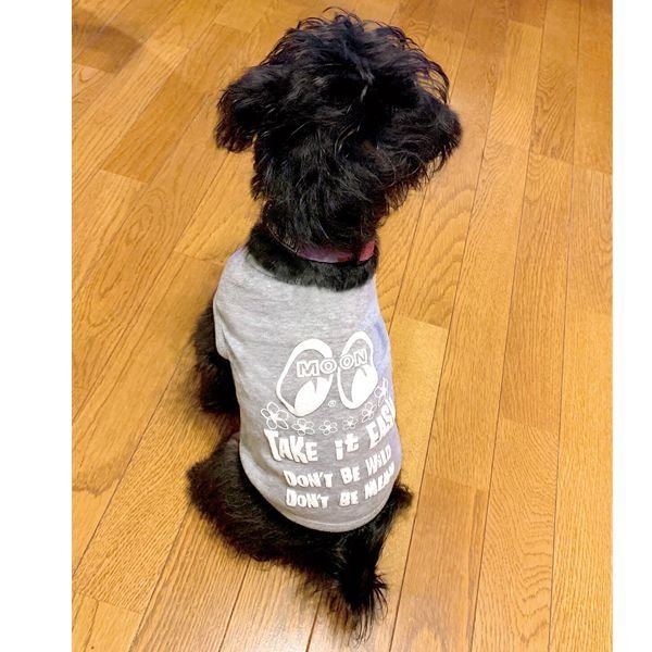 Photo1: Take it Easy Doggie T-shirt (1)