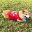 Photo8: Take it Easy Doggie T-shirt (8)