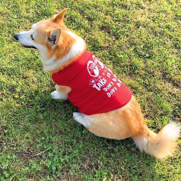 Photo2: Take it Easy Doggie T-shirt (2)