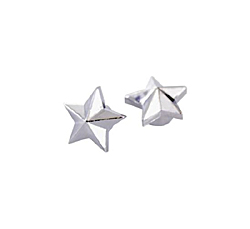 Photo1: Star Air Valve Cap (1)