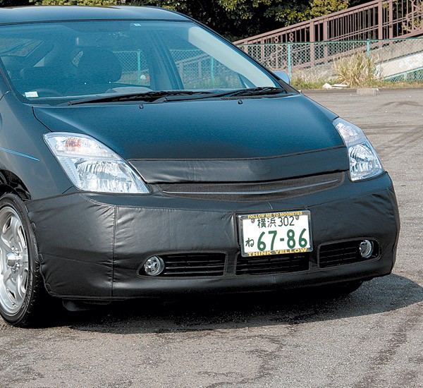 Photo: Full Face Bra for PRIUS