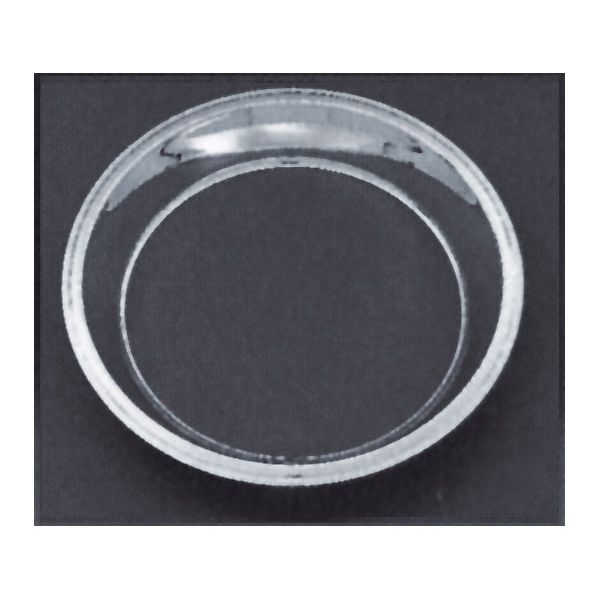 Photo1: 10inch Chrysler Trim Ring 15inch (1)