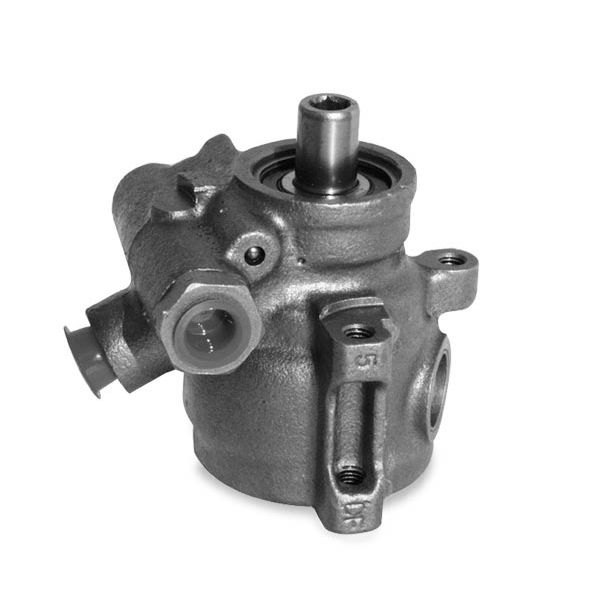 Photo1: GM Type 2 Power Steering Pump  Black (1)